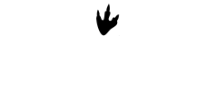 Green web hosting by Serversaurus